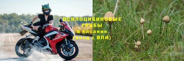спиды Горно-Алтайск