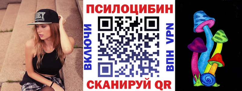 Псилоцибиновые грибы Psilocybine cubensis  это состав  Донской  купить  